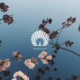 Artwork for "Caprice"