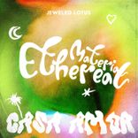 Artwork for "Jeweled Lotus"