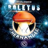 Artwork for "Boletus"