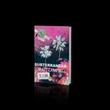 Artwork for "Subterranean"