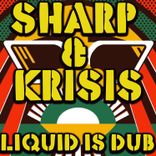 Artwork for "Liquid Is Dub"