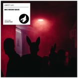 Artwork voor "Big Room Rave"
