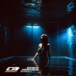 Artwork für "Waterfalls"