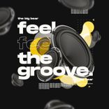 Artwork for "Feel the Groove"
