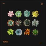 Artwork für "Exhibition, Vol. 2: Delia"