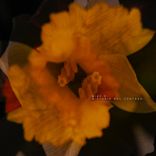 Artwork for "Historia Mal Contada"