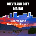 Portada para "Nobody Like You"