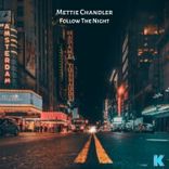 Portada para "Follow the Night"