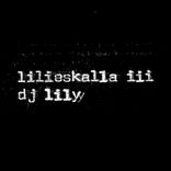 Artwork voor "LILIESKALLA3"