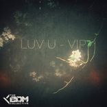 Artwork for "Luv U (VIP Mix)"