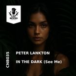 Portada para "In The Dark (See Me)"