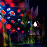 Artwork for "Musgravita"