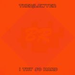 Artwork für "I Try so Hard"