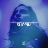 Artwork for "Slippin'"