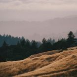 Artwork voor "Dream On"