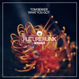 Portada para "What You Got"