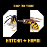 Artwork for "Black and Yellow"