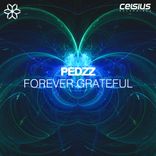 Artwork voor "Forever Grateful"