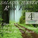 Artwork for "Rain Forest"