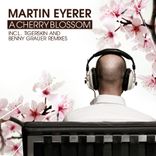 Artwork voor "A Cherry Blossom"
