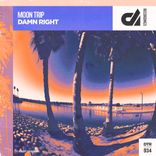 Artwork für "Damn Right"