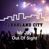 Portada para "Out of Sight"