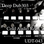 Artwork for "Deep Dub 303"