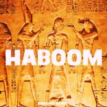 Artwork voor "Haboom"