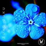 Portada para "Zuku Zuku"