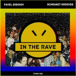 Portada para "Schranzy Grooves"