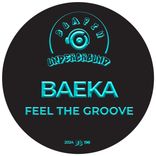 Artwork for "Feel The Groove"