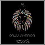 Drum Warrior