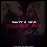 Artwork for "Electric Soul"