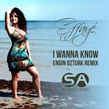 Artwork voor "I Wanna Know (Engin Ozturk Remix)"