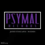 Artwork für "Noises"