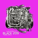Artwork for "Black 209"