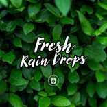 Portada para "Fresh Rain Drops"