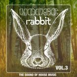 Artwork for "House Rabbit Vol. 3"