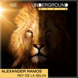 Artwork voor "Rey de la Selva"