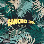 Artwork for "Jungle"