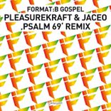 Artwork voor "Gospel (Pleasurekraft & Jaceo Psalm 69 Remix)"