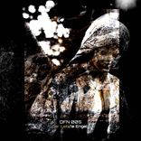 Portada para "Der letzte Engel"