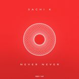 Artwork for "Never Never"