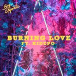 Artwork für "Burning Love"