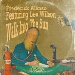 Artwork for "Walk Into The Sun"