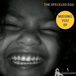 Portada para "Missing You"