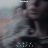 Artwork for "Voices"