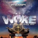 Artwork for "Woke"