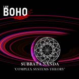 Artwork for "Complex Systems Theory"