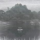 Artwork für "Kizuna Encounter"